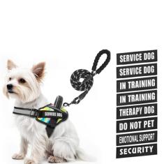 Conjunto de coleira e coleira para cães de serviço, Animire in Training Dog Harness com 10 adesivos para cães, coleira refletiva para cães com alça acolchoada macia para cães pequenos, médios, grandes