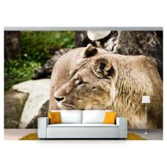 Papel De Parede Animais Leoa Paisagem 3D Anm193 - Você Decora