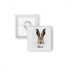 Kit de atualização de teclado mecânico PBT teclado mecânico de coelho selvagem com nariz grande cinza