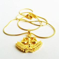 Colar Cordão Minha Nutricionista Nutriçao Folheado Ouro 18k