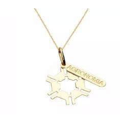 Colar Gargantilha Agronomia Chapa e Placa Folheado - Milena Folheados