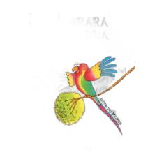 A arara cantora