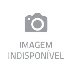 Guia Teórico - Inteligência Artificial - Redes Neurais e Robótica -Básico, Intermediário e Avançado