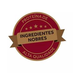 Ração Úmida Gran Plus Gourmet Cães Adultos Salmão Sachê 100g