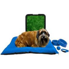 Kit Pet Médio Cama Futon com Sanitário Grama e Acessórios - Supri Pets