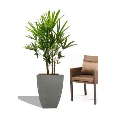 Vaso Planta 60x40 Moderno Trapézio Polietileno