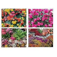 Kit 4 Quebra-cabeças Cognitivos para a Mente Primavera em Atibaia 60 peças