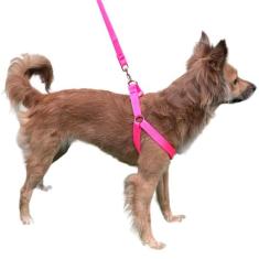 Coleira Peitoral Para Cachorro + Guia Ajustável Raças Pequenas e Media