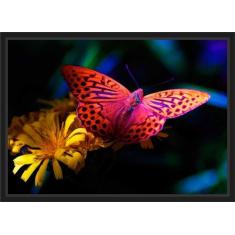 Quadro Decorativo Flores Borboleta Decoração Com Moldura - Vital Quadr