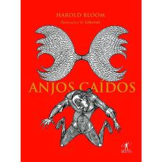 Livro - Anjos caídos
