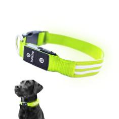 Tractive Coleira de cachorro com luz LED recarregável por USB à prova d'água (verde)