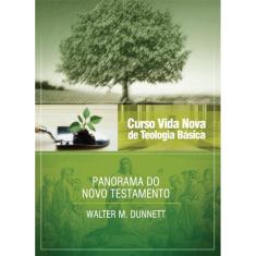 Curso vida nova de teologia básica - vol. 3 - panorama do novo testamento