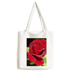 Bolsa de lona para presente com rosas vermelhas escuras Art Deco, bolsa de compras casual
