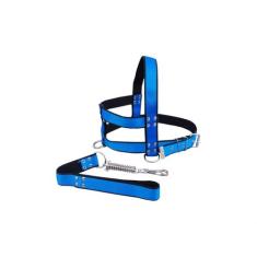 Guia E Peitoral Nylon Duplo P/cães Cachorro - Nº 8 - FLOP, Azul