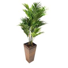 Vaso Decorativo Trapézio Honolulu Peg Bnpfsd 64Cm