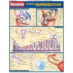 Sistema Reprodutivo