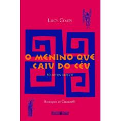 Livro - O menino que caiu do céu