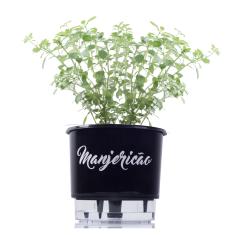 Vaso Auto Irrigável Gourmet N03 - Médio - Raiz Preto Manjericão