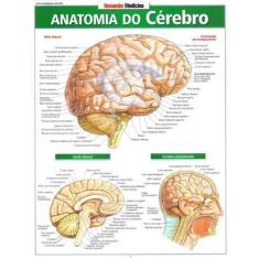 Resumão - Anatomia do Cérebro - RESUMAO, 3