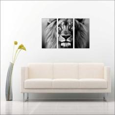 Quadro Decorativo Animais Leão Preto e Branco Salas 3 peças Com Moldur