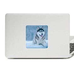 Adesivo de vinil com imagem Husky de animal de neve para decoração de PC