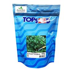 Sementes de Salsa Graúda Portuguesa Pcte C/ 500 Gramas