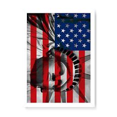 Arte Maníacos Quadro Decorativo Badeira USA Liberdade - 23x16,25cm (Moldura caixa em laca branca)