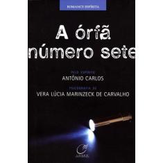 Livro - A órfã número sete