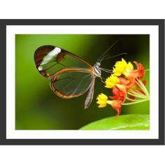 Quadro Decorativo Flor Borboleta Salas Decorações Com Moldura - Vital 