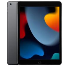 iPad Apple (9° Geração) A13 Bionic (10,2&quot;, Wi-Fi, 256GB) Cinza-Espacial
