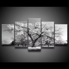 Quadro Decorativo 129x63 Sala Quarto Árvore Branca 1