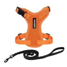 Peitoral para gatos Voyager Step-in Lock ajustável com conjunto de coleira para gatos com alça de neoprene de 1,5 m - suporta gatos de raças pequenas, médias e grandes da Best Pet Supplies - Laranja,