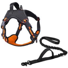 Coleira Peitoral Power + Guia Elástica Cachorro MADOG, M, Laranja