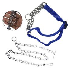 Coleira Guia Ajustavel Aço Semi Enforcadora Corrente Caes