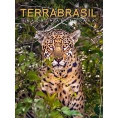 TerraBrasil - PAISAGEM DISTRIBUIDORA