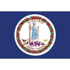 Toland Home Garden 1010349 Bandeira do estado da Virgínia 71 x 101 cm decorativa, casa (71 x 101 cm)