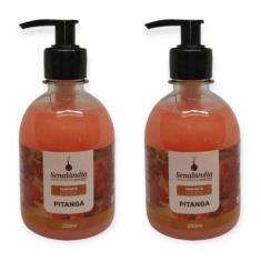2 Sabonete Líquido Perfumado Grosso Hidratante Corporal Cheiroso 250ml