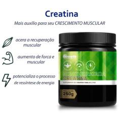 1 CREATINA MONOHIDRATADA 250G - sem sabor - Growth