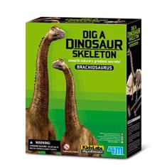 Kidz Labs 4M Kit de Escavação Dinossauro Braquiossauro, Multicolorido