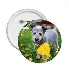 Bonito filhote de cachorro fotografia foto de animal de estimação pinos redondos emblema decoração de roupas 5 peças presente
