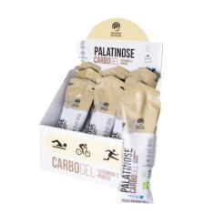 Gel Palatinose Alquimia Da Saúde Caixa 15 Sachês 60ml Cada, Baunilha