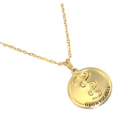 Colar Cordão Profissão Medalha Odontologia Folheado 18k