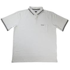 Camiseta Polo Basica Malha Algodão Plus Size Pierre Cardin