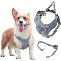 Coleira Peitoral para Cachorros Ajustável com Guia de Passeio (Rosa, M)