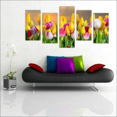 Quadro Decorativo Flores Tulipa Paisagens Natureza Decorações Salas 5 