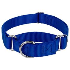 Coleira Country Brook Petz Martingale para cães - Coleira de treinamento resistente sem fivela - Coleira para cães de serviço para todos os filhotes - Coleção vibrante e colorida (azul royal, 2,5 cm,