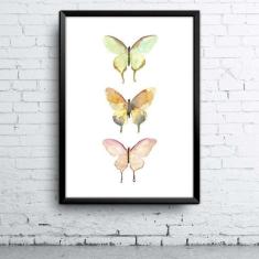 Quadro Borboletas A4