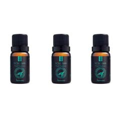 Kit 3 Essências Noronha/Musk Oceânico - 10Ml Via Aroma