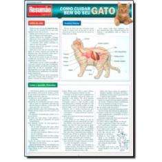 Como Cuidar Bem Do Seu Gato Sortido, Sortido