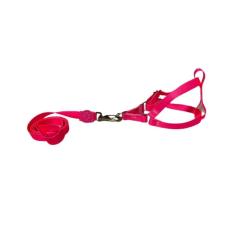 Coleira Peitoral Neon Para Cães Americano 15Mm - Rosa Nº2